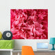 Pink poppy flower petals - background Wall Mural