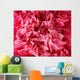 Pink poppy flower petals - background Wall Mural