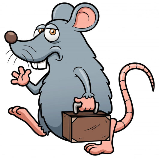 Vector Illustration of Cartoon Rat Get out Wall Decal