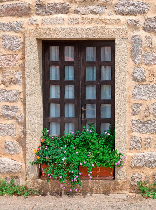 Flowers and Window