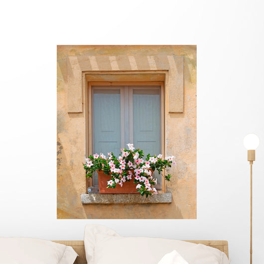 Window and Flowers