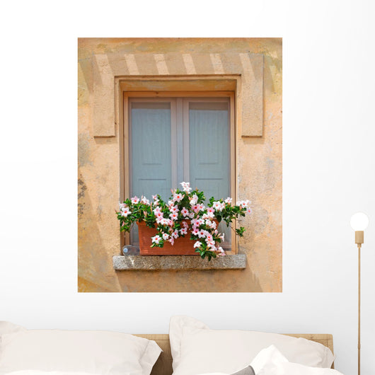 Window and Flowers
