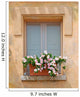 Window and Flowers