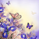 Bouquet of blue irises, white flowers and butterfly Wall Mural