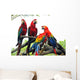 Parrots Wall Mural