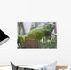 Green Iguana Wall Mural