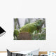 Green Iguana Wall Mural