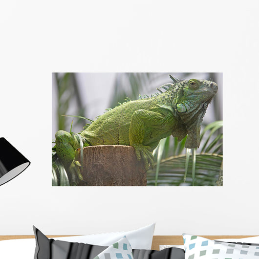 Green Iguana Wall Mural