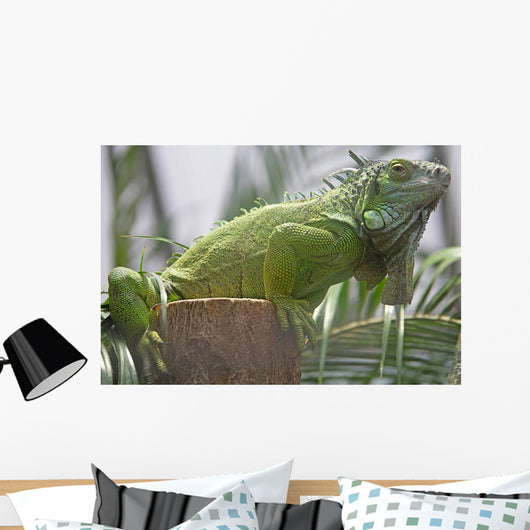 Green Iguana Wall Mural