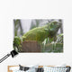 Green Iguana Wall Mural