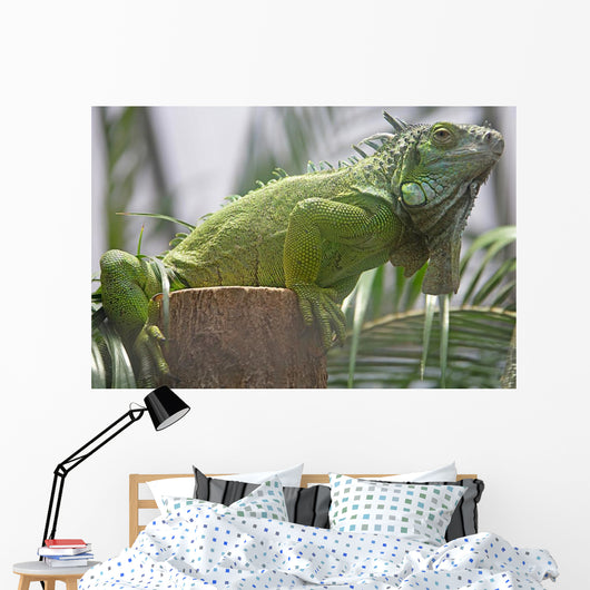 Green Iguana Wall Mural