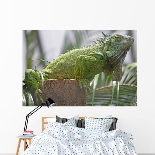 Green Iguana Wall Mural