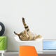 Upside down Kitten Wall Decal