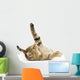 Upside down Kitten Wall Decal