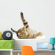 Upside down Kitten Wall Decal