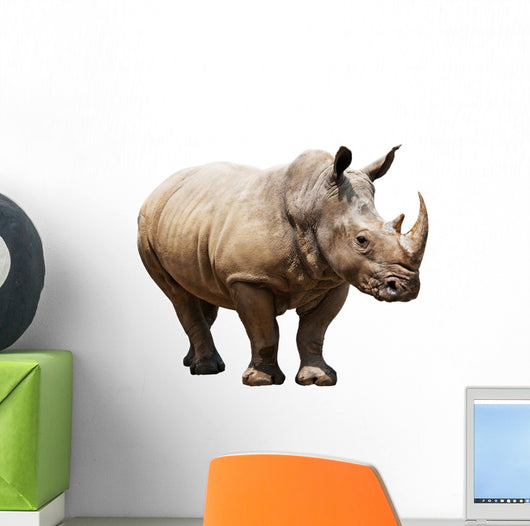 Rhino White