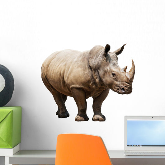 Rhino White