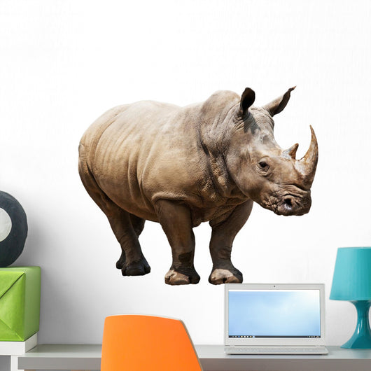 Rhino White