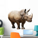Rhino White