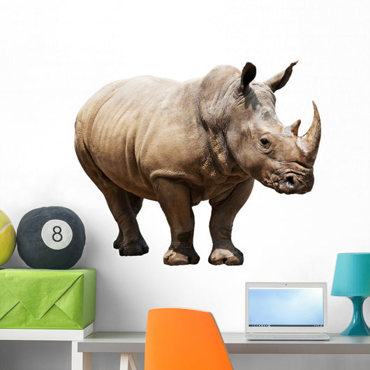 Rhino White