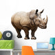 Rhino White