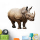 Rhino White