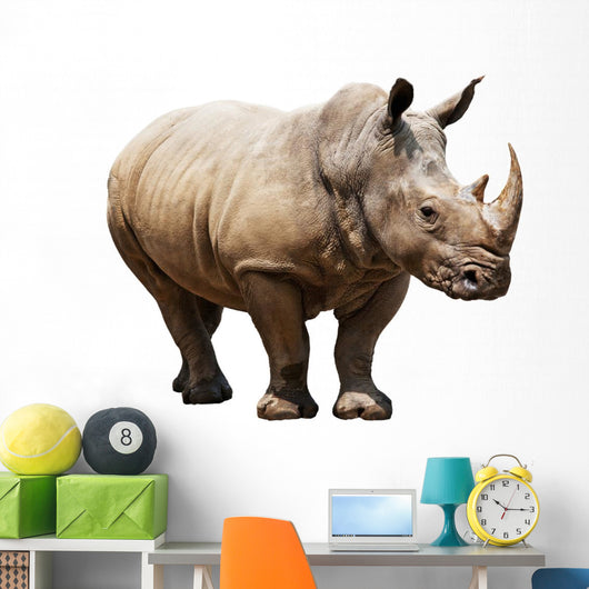 Rhino White