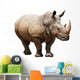 Rhino White