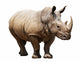 Rhino White