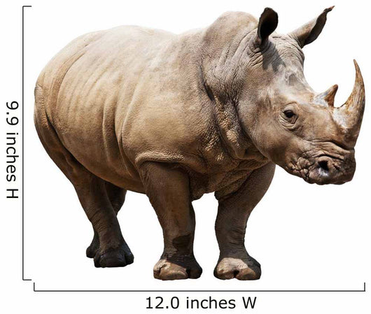 Rhino White