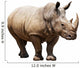 Rhino White