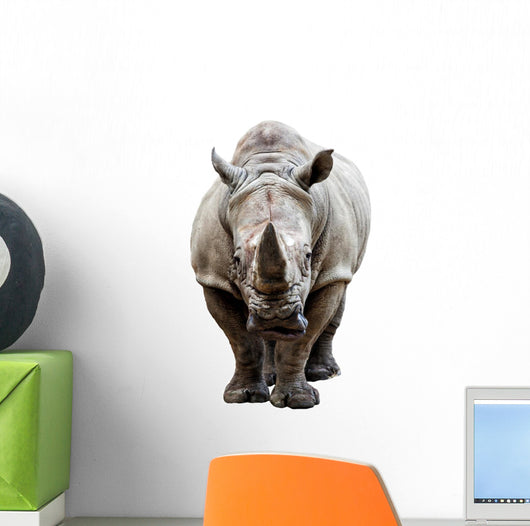 Rhino on White Background Wall Decal