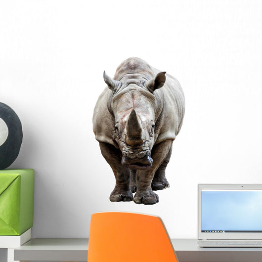 Rhino on White Background Wall Decal