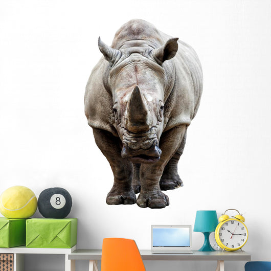 Rhino on White Background Wall Decal