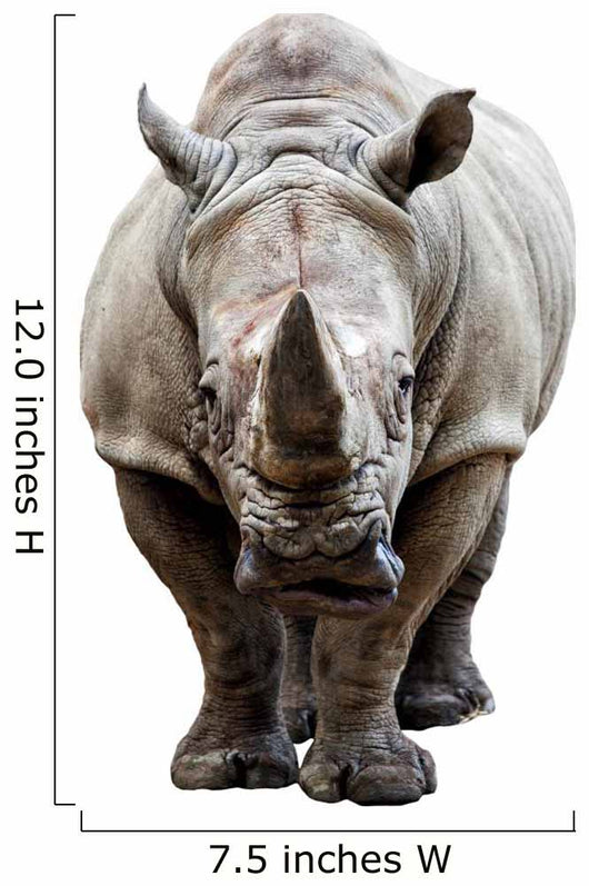 Rhino on White Background Wall Decal