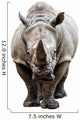 Rhino on White Background Wall Decal