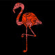 Silhouette of a Flamingo Filled with Decorative Texture Wall Mural