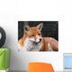 Red Fox Wall Mural