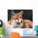 Red Fox Wall Mural