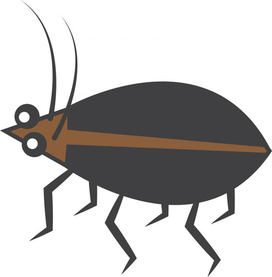 Brown and Black Beetle Wall Decal