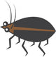 Brown and Black Beetle Wall Decal