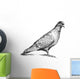Watching Pigeon Wall Decal