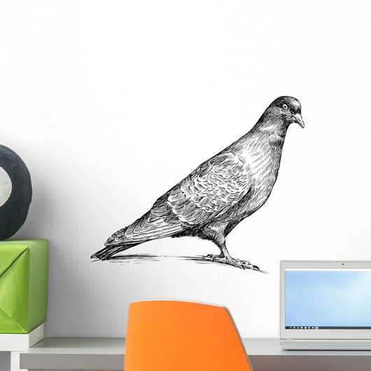 Watching Pigeon Wall Decal