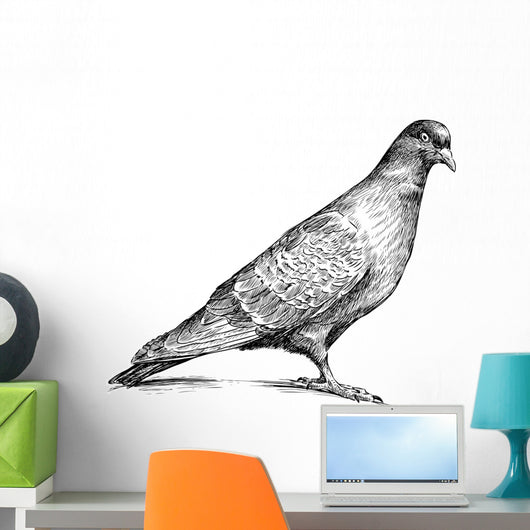 Watching Pigeon Wall Decal