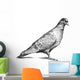 Watching Pigeon Wall Decal
