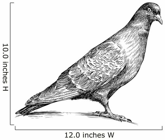 Watching Pigeon Wall Decal