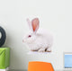 Rabbit Wall Decal