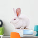 Rabbit Wall Decal