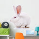 Rabbit Wall Decal