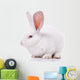 Rabbit Wall Decal
